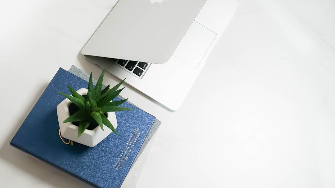 Overhead flat lay of a desk with journal, laptop and plant